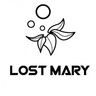 Elfbar LOST MARY BM600 20mg
