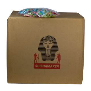 ShishaMax24 Karton Hygiene Mundstück 100 Packungen (ca. 95 Stk pro Pck.)